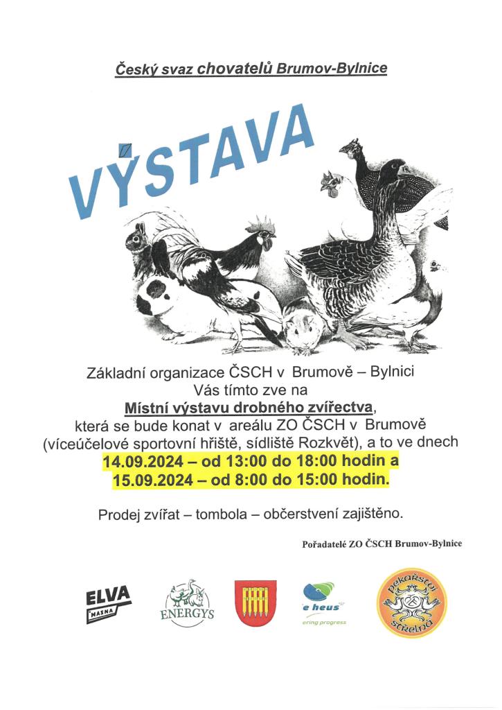 Výstava