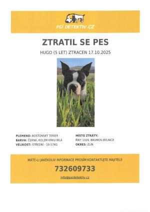 Ztratil se pes Hugo