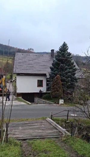 Vánoční strom Nedašov