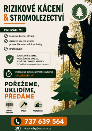 Rizikové kácení stromů