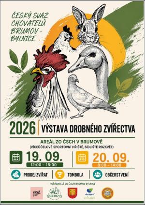 Výstava