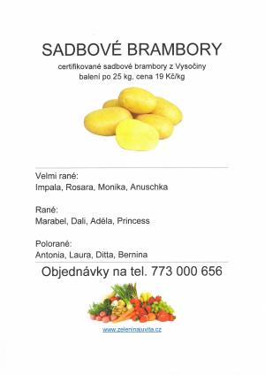 Sadbové brambory