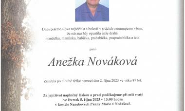 Anežka Nováková, Nedašov č.p. 196